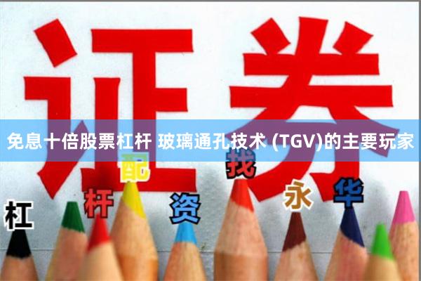 免息十倍股票杠杆 玻璃通孔技术 (TGV)的主要玩家