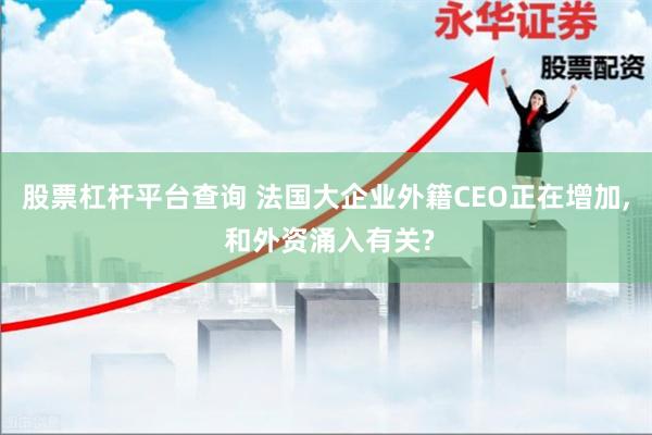 股票杠杆平台查询 法国大企业外籍CEO正在增加, 和外资涌入有关?