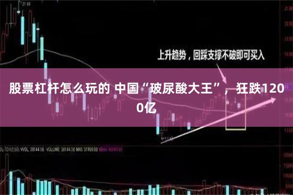股票杠杆怎么玩的 中国“玻尿酸大王”，狂跌1200亿