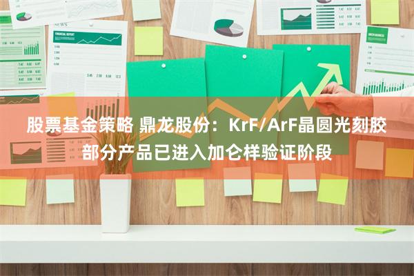 股票基金策略 鼎龙股份：KrF/ArF晶圆光刻胶部分产品已进入加仑样验证阶段