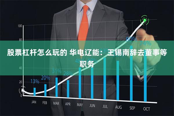股票杠杆怎么玩的 华电辽能：王锡南辞去董事等职务