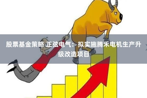 股票基金策略 正弦电气：拟实施腾禾电机生产升级改造项目