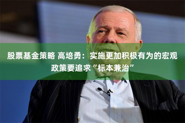 股票基金策略 高培勇：实施更加积极有为的宏观政策要追求“标本兼治”
